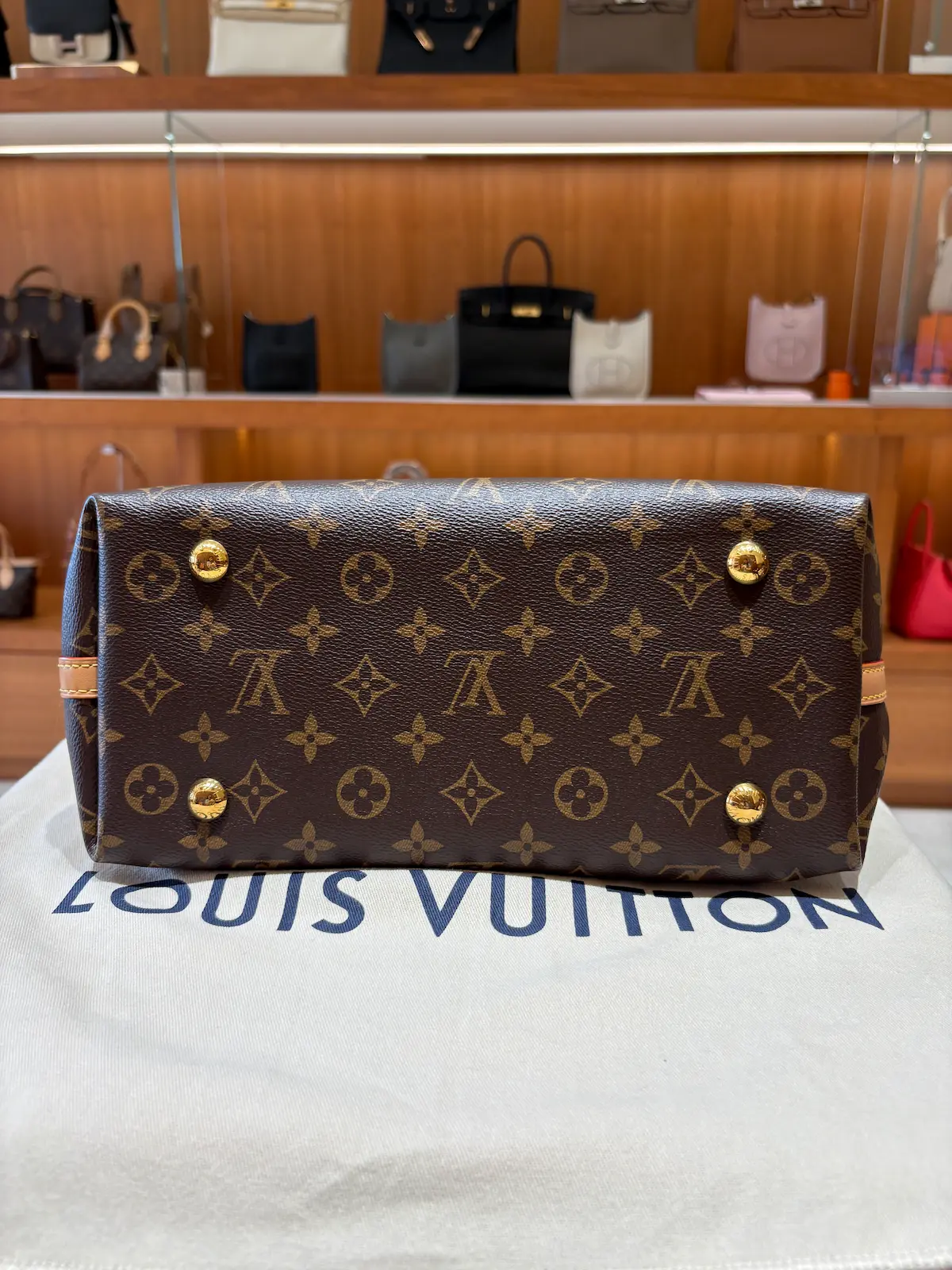 【1+1超值子母包】Louis Vuitton CarryAll PM 老花金扣肩背包｜附內袋實用設計｜一包兩用・派對旅遊都加分